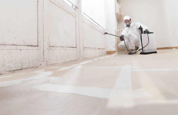 24/7 Emergency Attic Mold Removal experts in West Newton, MA
